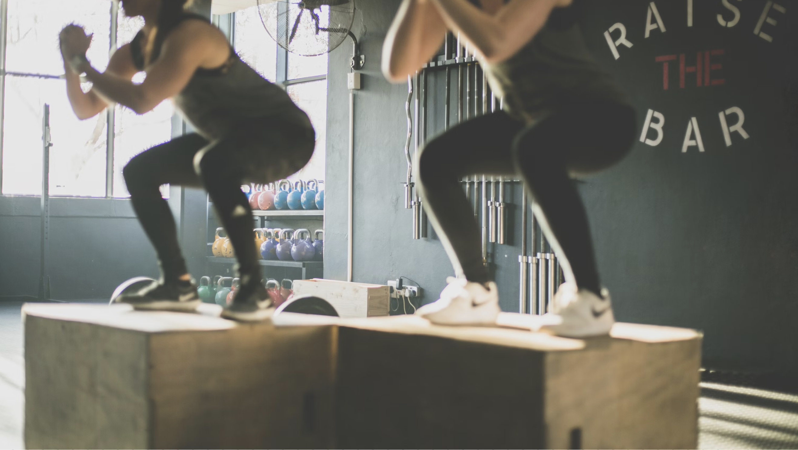 Image of people doing squat workouts